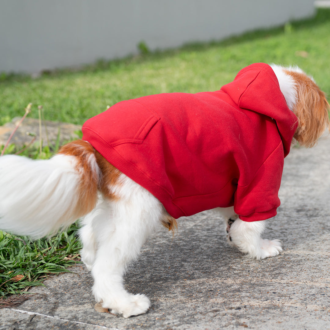 House of Uniforms The Dog Hoodie Ramo
