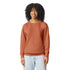 Comfort Colors The Lightweight Sweatshirt | Adults Shirts & Tops