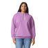 Comfort Colors The Lightweight Hoodie | Adults Violet Hoodie