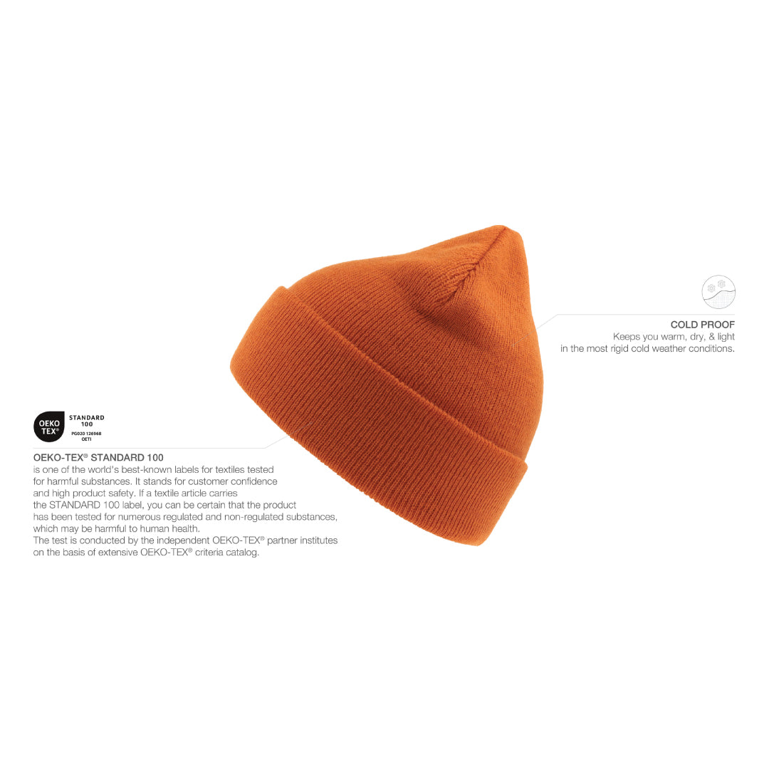 House of Uniforms The Eko Beanie | Atlantis Atlantis Headwear 