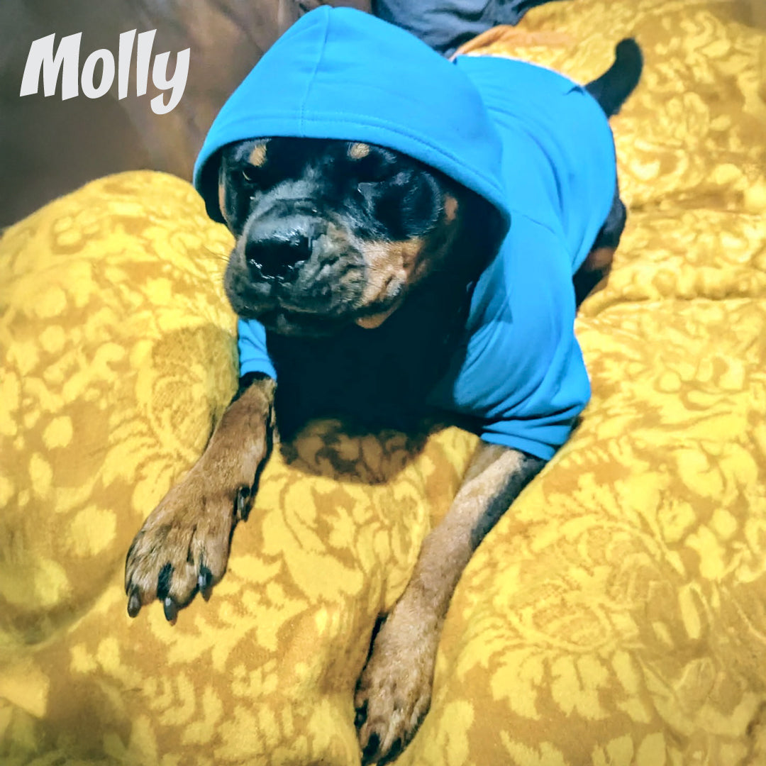 The Dog Hoodie