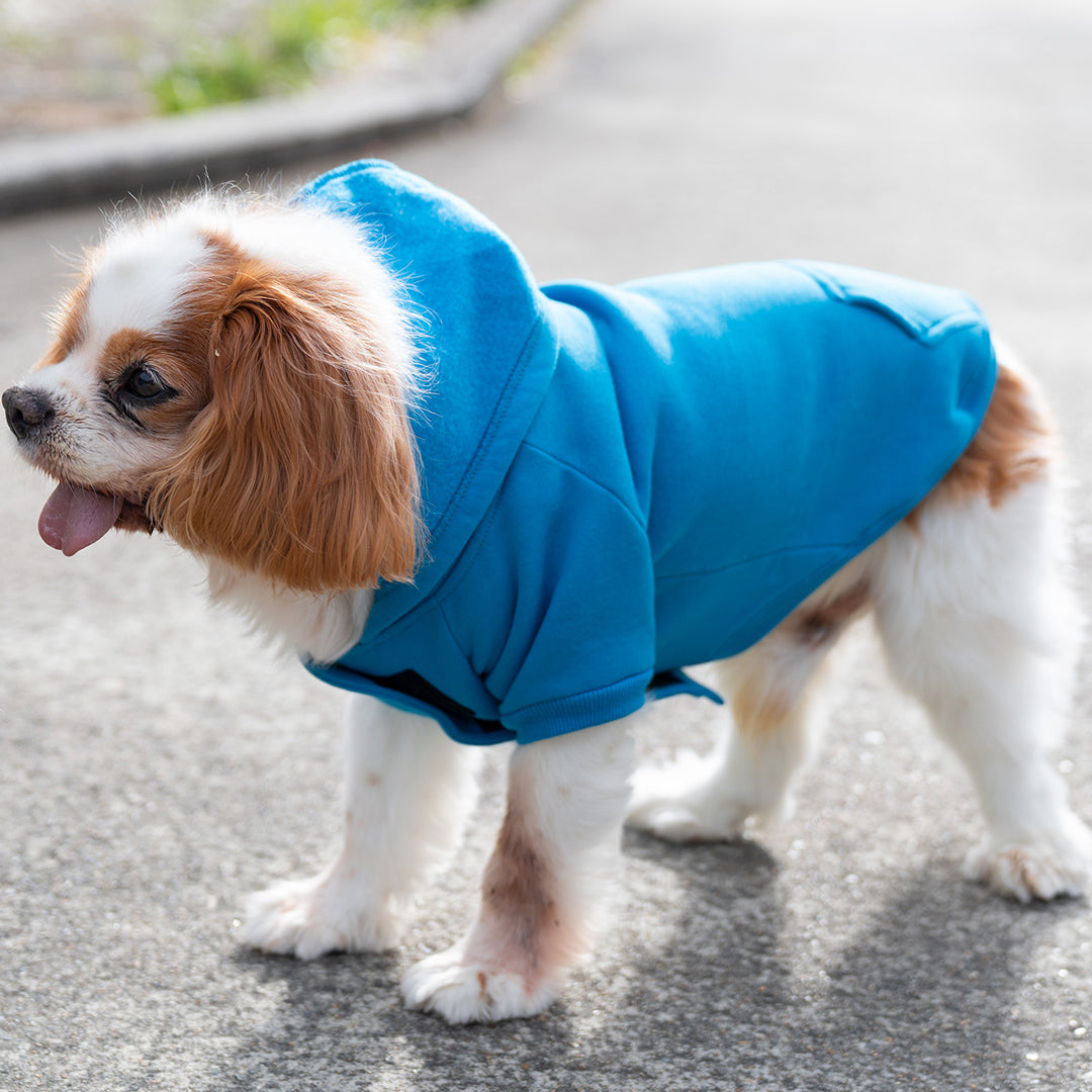 House of Uniforms The Dog Hoodie Ramo